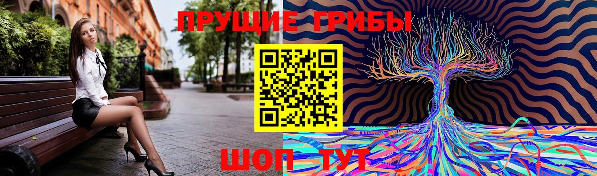 Codein Сунжа